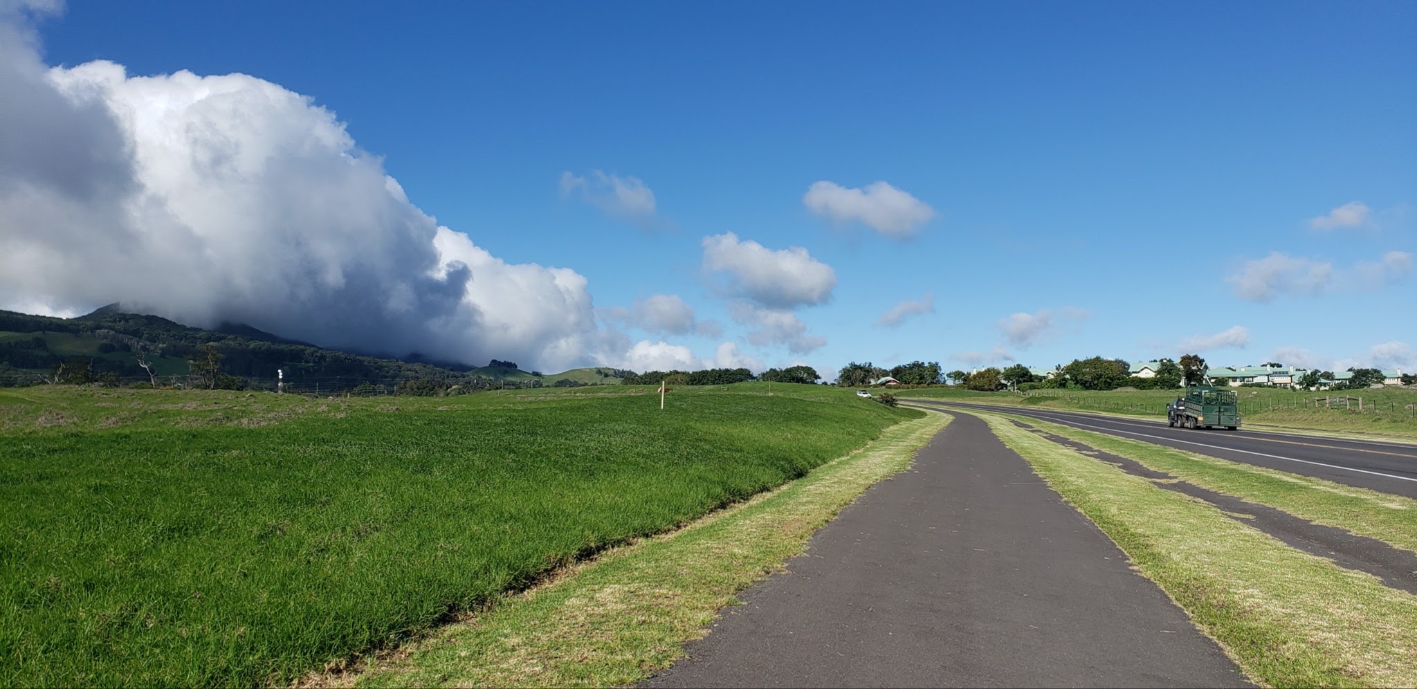 The BH4H Series, Part 3 The Ala Ohia Road’s Bench Project PATH Hawaii